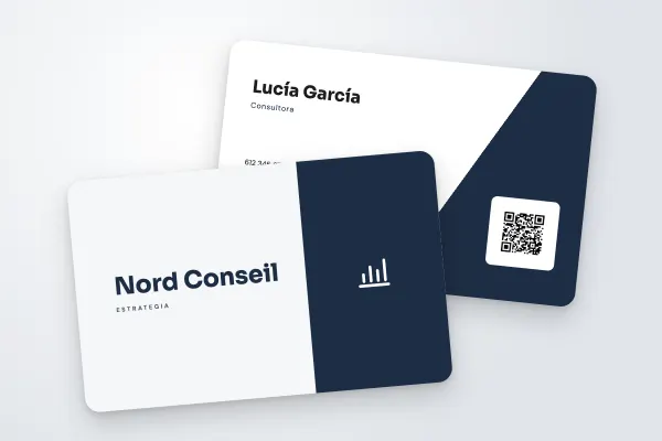 Modelo de tarjeta de visita «Nord Conseil» (consultoría y creativos, dos tonos, pizarra): anverso y reverso